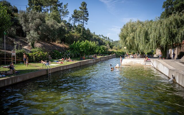 2024_08_14_pessegueiro__9_